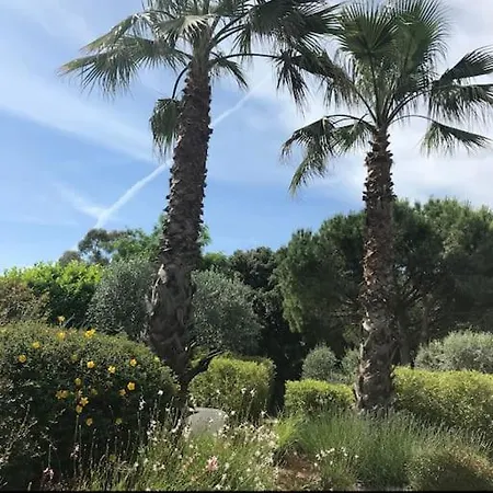 Villa La D'ariane-piscine-jaccuzi-15 Mn Vendargues