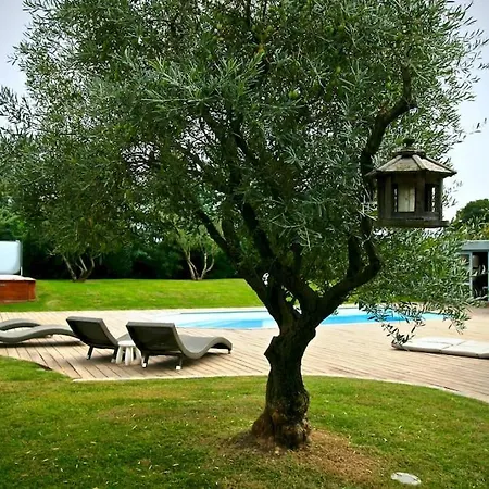 Villa La D'ariane-piscine-jaccuzi-15 Mn Vendargues