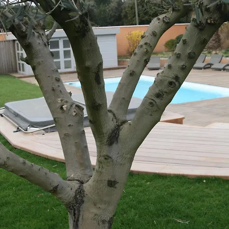 La D'ariane-piscine-jaccuzi-15 Mn Vendargues